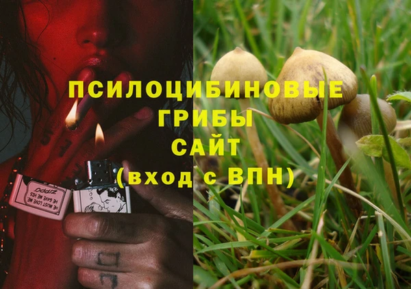 спиды Абинск